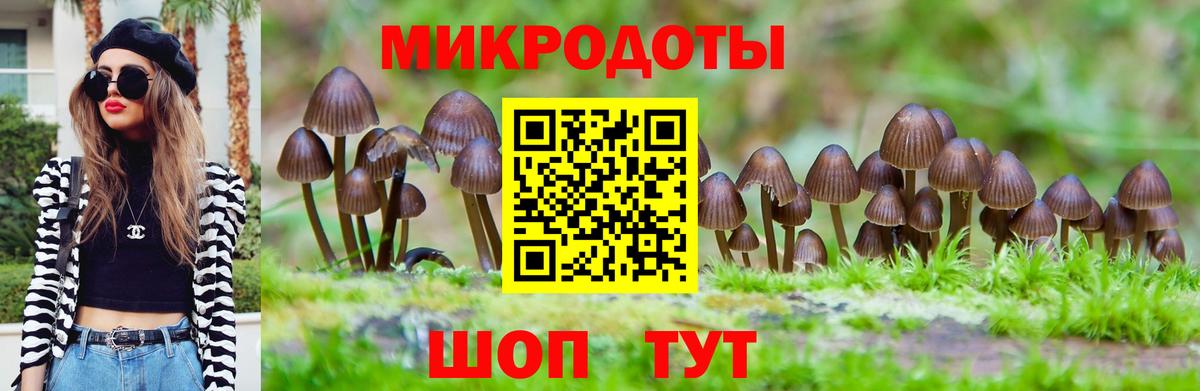 Псилоцибиновые грибы мицелий  Псилоцибиновые грибы мицелий  Вход с VPN  Кохма 